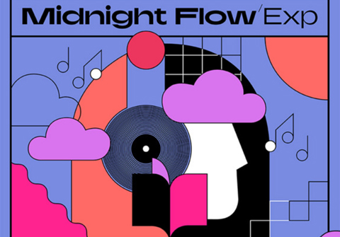 Native Instruments Midnight Flow (Maschine Expansion)
